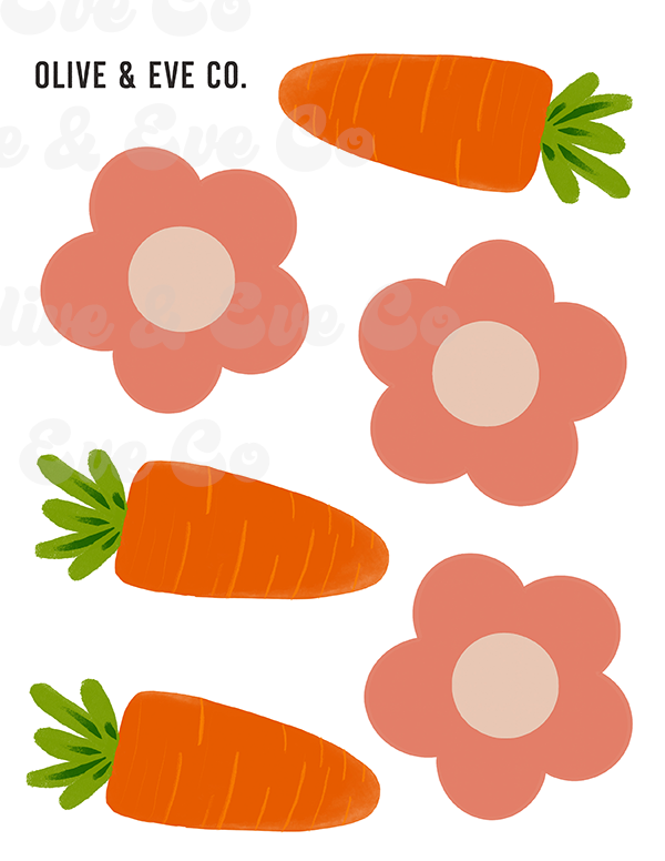 Carrot + Daisy