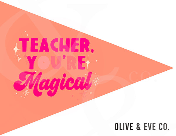 Teacher, You're Magical