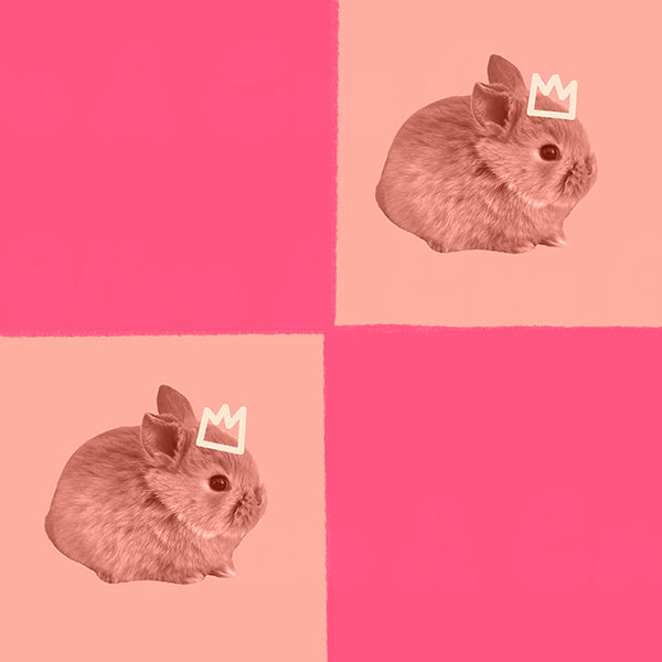 Baby Bunny