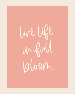 Bloom Collection Bundle ♡