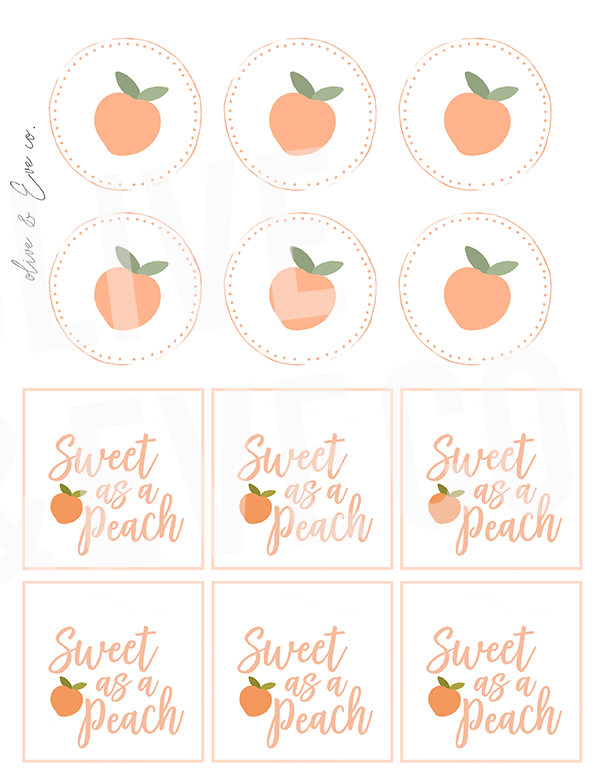 Peach Collection ♡