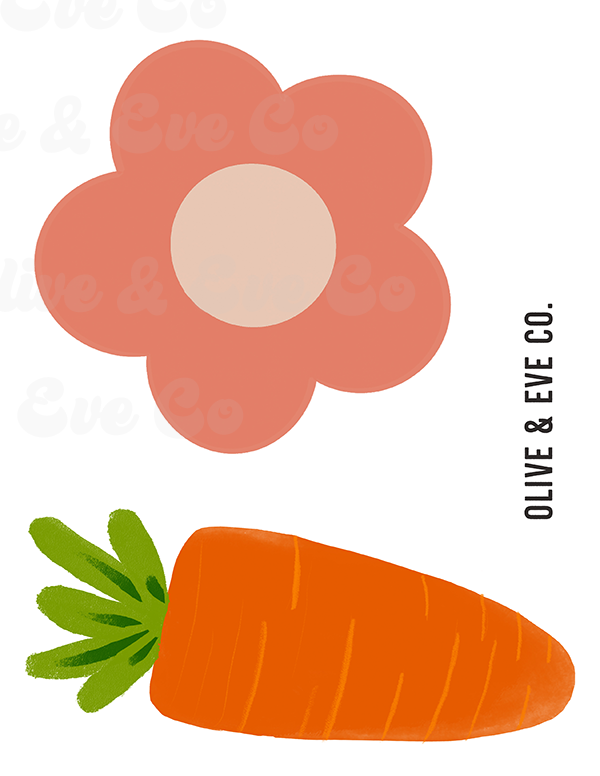 Carrot + Daisy