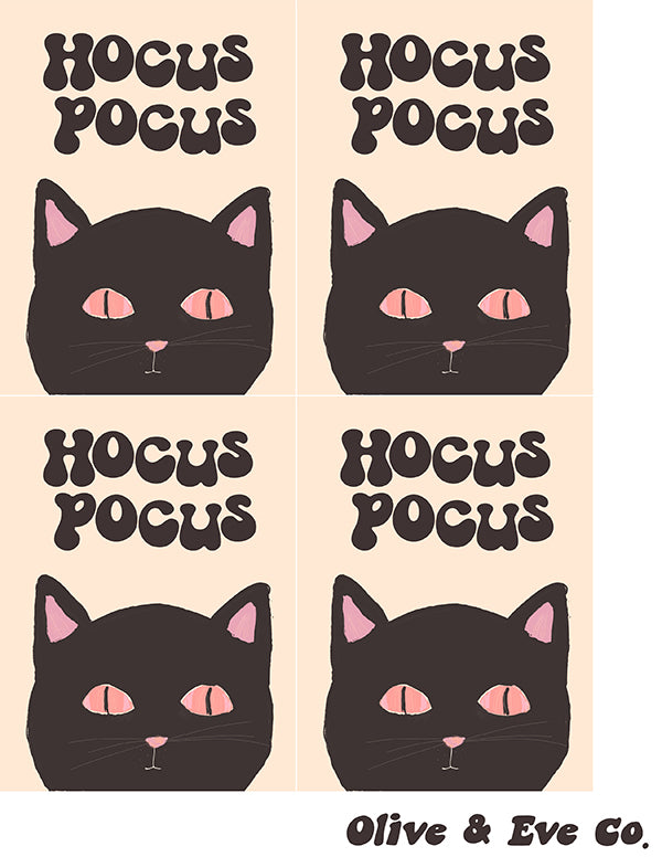 Hocus Pocus Collection