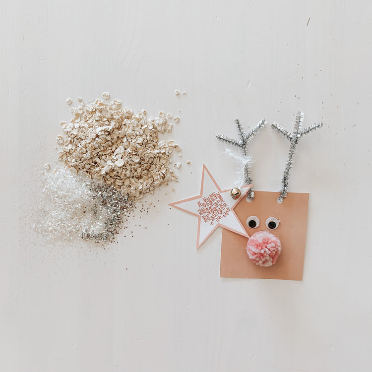 Magic Reindeer Food