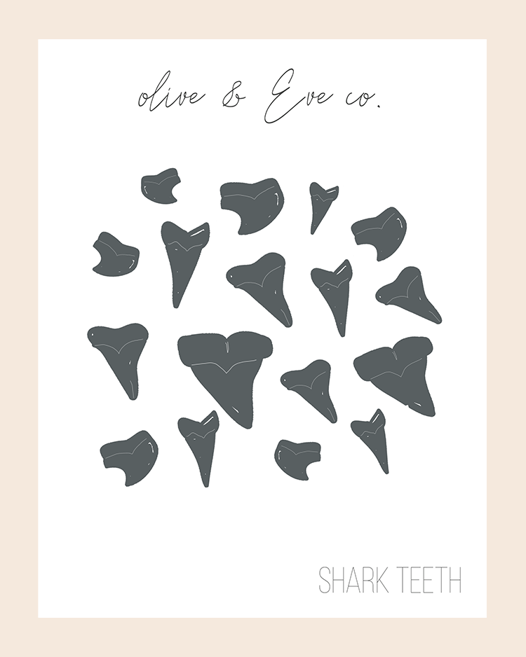 Shark Fin {diy} Collection ♡