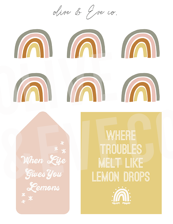 Rainbow "Lemonade" Collection ♡
