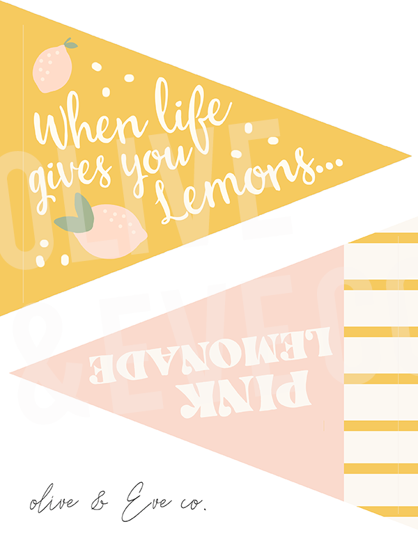 Lemonade Collection ♡